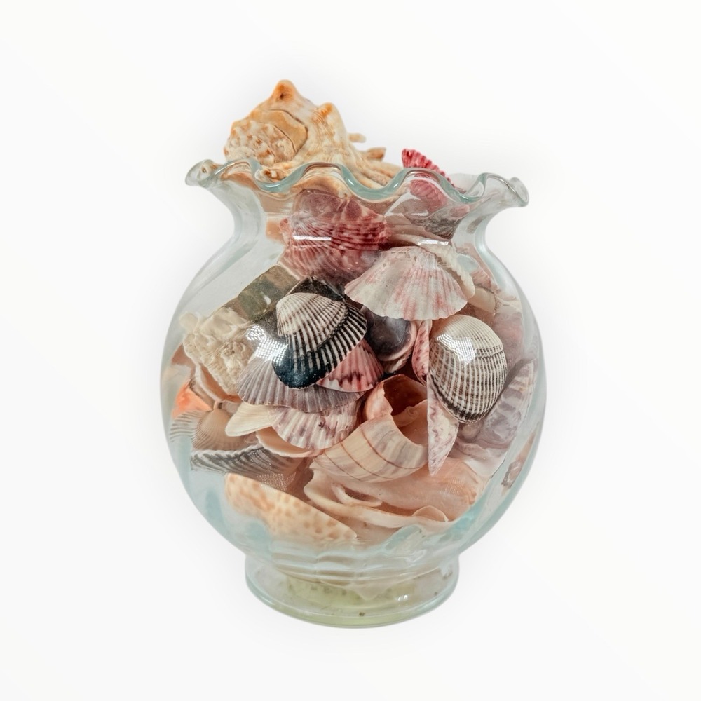 Sea Shell Mix Coastal Beach Decor 5" Nautical Vintage Glass Vase